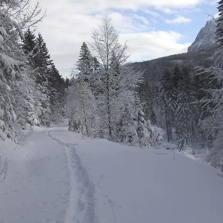 Am Roemerweg Wald Inzell