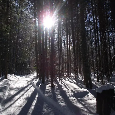 Am Roemerweg Wald Inzell