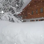 Apartment Am Römerweg Wald