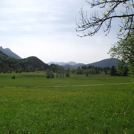 Am Roemerweg Wald *