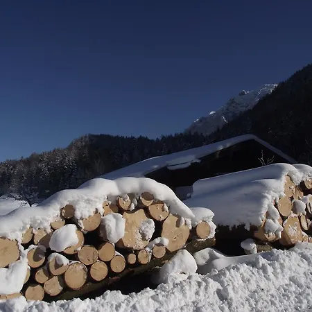 Am Romerweg Wald * Inzell