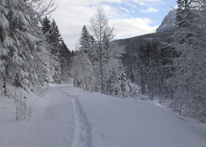 Am Roemerweg Wald Inzell