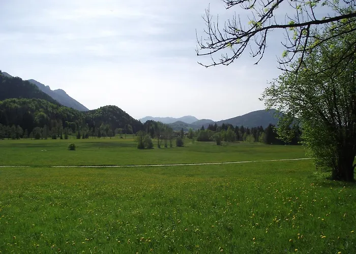 Am Roemerweg Wald *