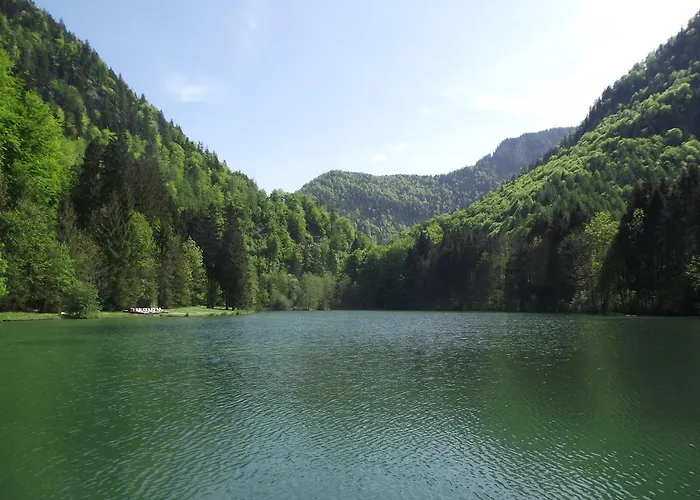 Daire Am Roemerweg Wald