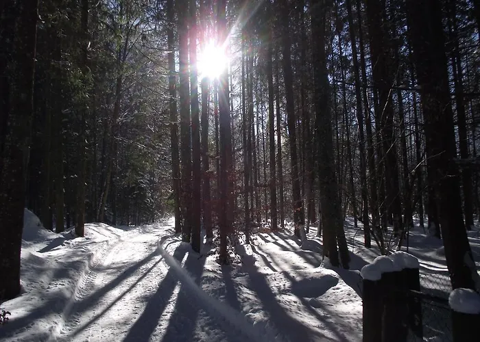 Am Roemerweg Wald Inzell