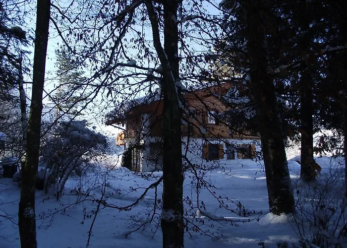 Daire Am Roemerweg Wald