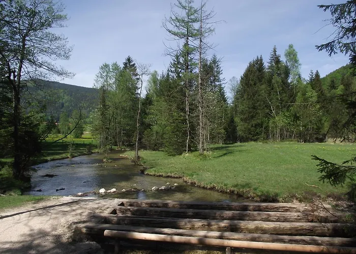 Am Roemerweg Wald Daire Inzell